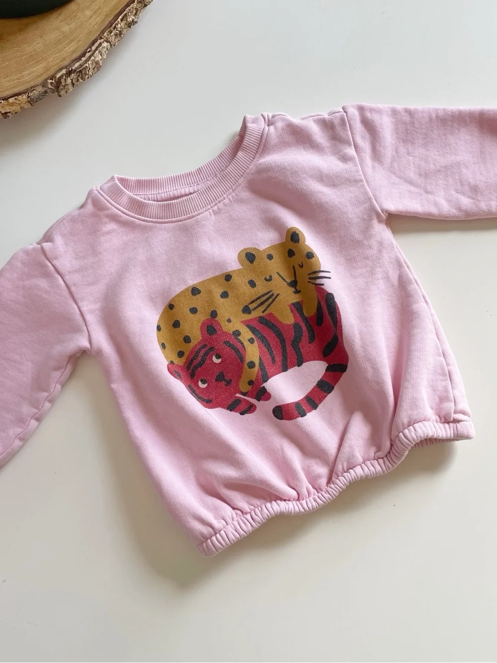 Hanna Andersson Two Piece Set | Tiger Sweatshirt & Floral Pants | 18-24m